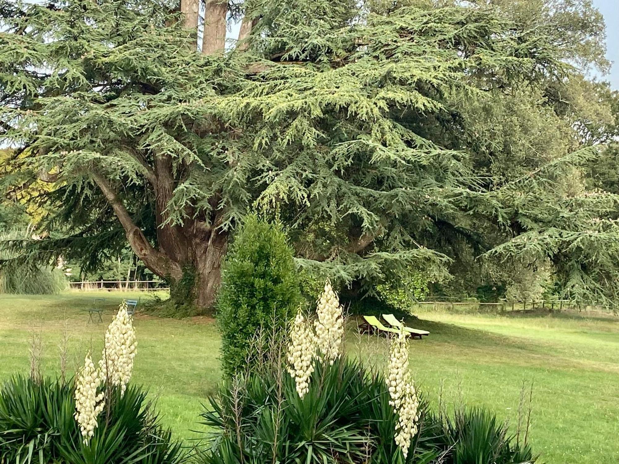 Chateau La Bainerie Tierce エクステリア 写真